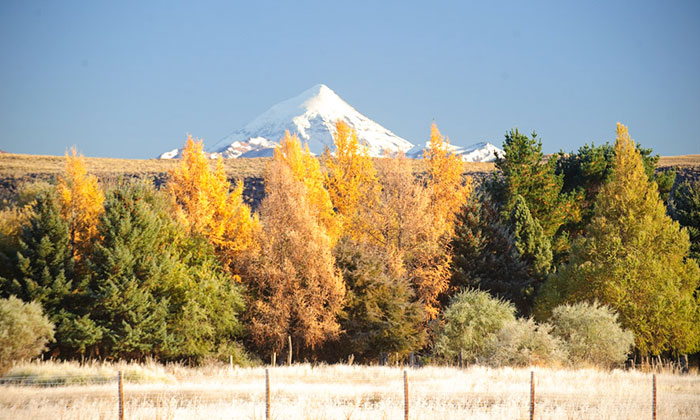 Orillas del Quilquihue
