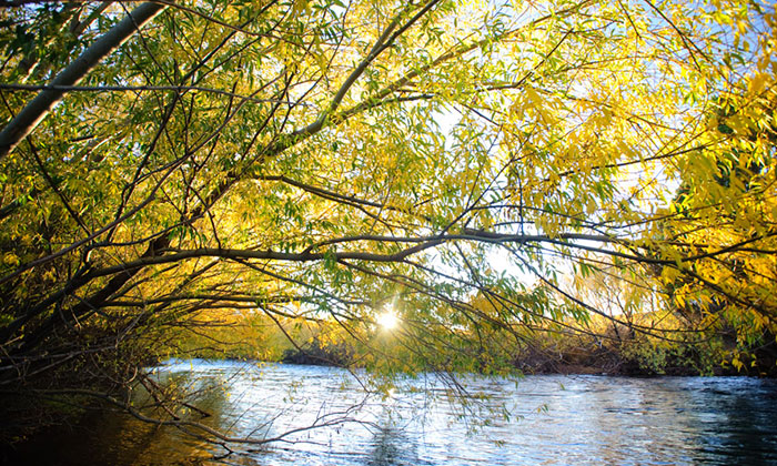 Orillas del Quilquihue